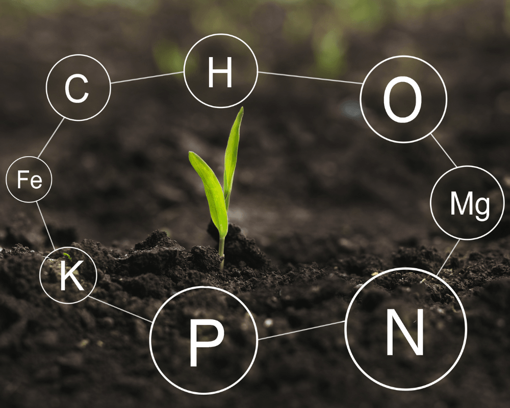 Beyond just “more inputs”: Silicon unlocks the nutrient pantry.