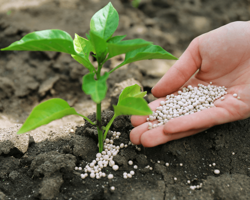 How to Get Out from Under Nitrogen’s Thumb: A Practical Guide to Using Komens™ in Specialty Crops