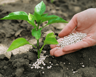 How to Get Out from Under Nitrogen’s Thumb: A Practical Guide to Using Komens™ in Specialty Crops