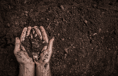 What Are Soil Amendments?